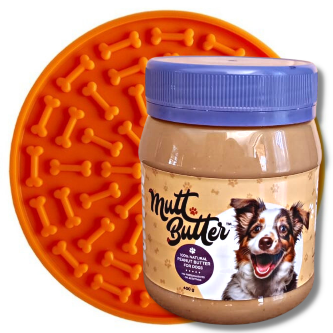 Jou hond is nie stout nie, hy’s verveeld – en hier is ’n manier om dit op te los