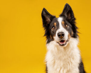 GettyImages-1213516345