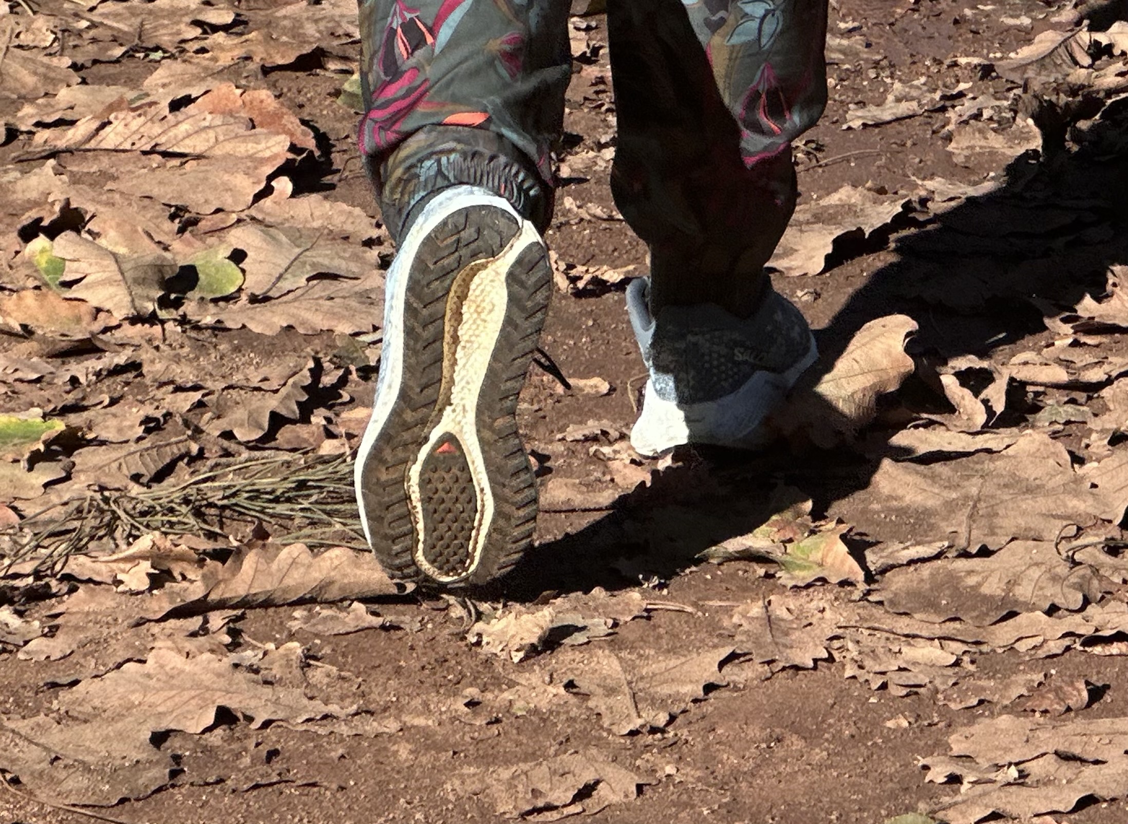 GETOETS: Salomon Aero Glide 4 GRVL – Die skoen wat die veelsydigheidsbeker wen